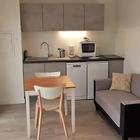 公寓式酒店 Carouge 奥尔日河畔布雷蒂尼