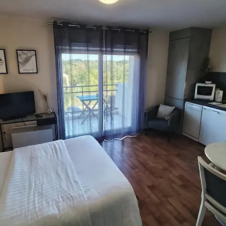Carouge 3* 奥尔日河畔布雷蒂尼