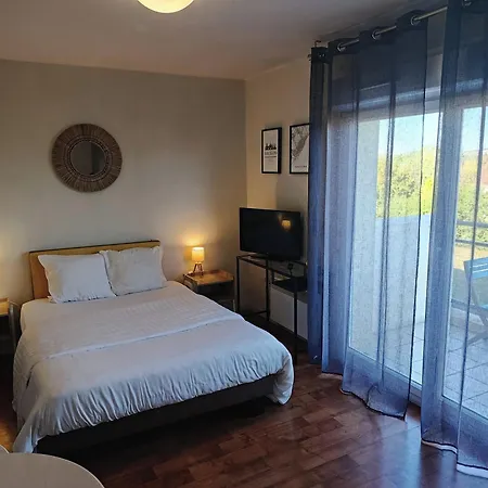 Carouge 3* 奥尔日河畔布雷蒂尼